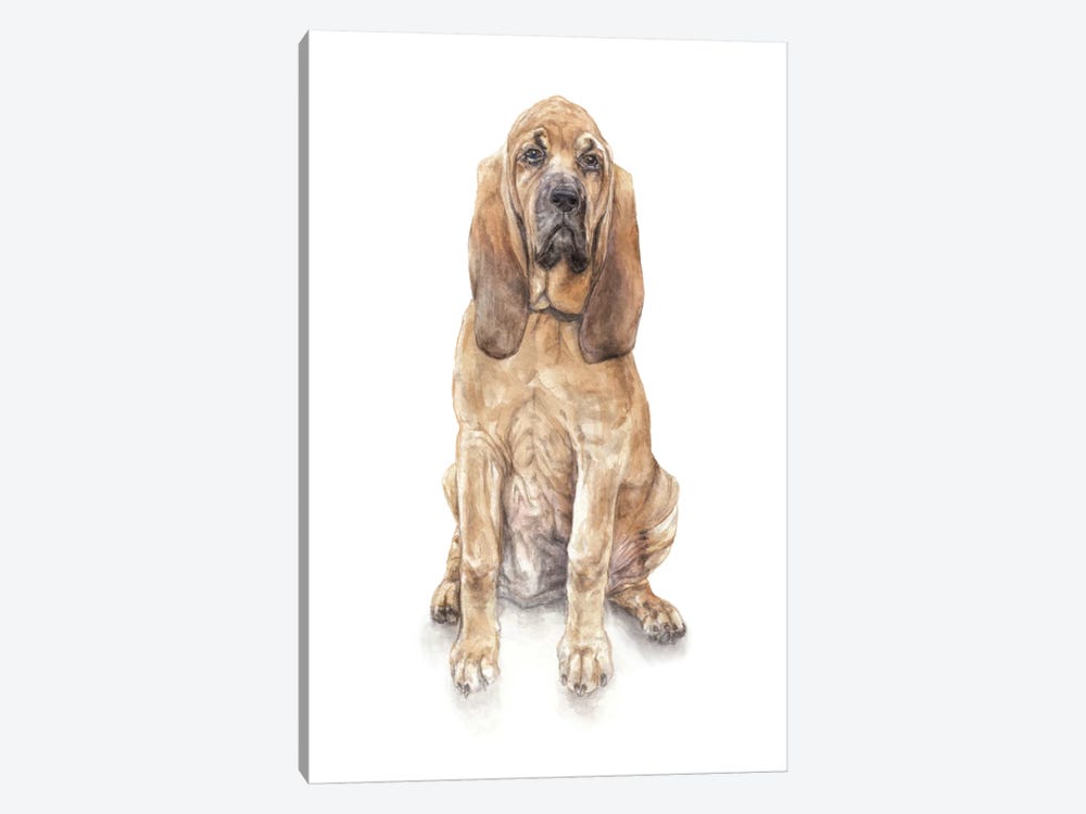 Bloodhound by Wandering Laur 1-piece Art Print