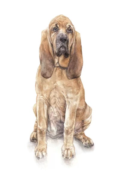 Wandering Laur: Bloodhound by Wandering Laur