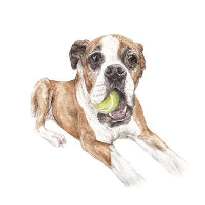 Boxer & Tennis Ball by Wandering Laur framed wall art