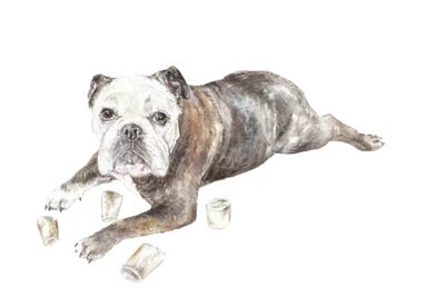 Abbey The Bulldog by Wandering Laur framed wall art