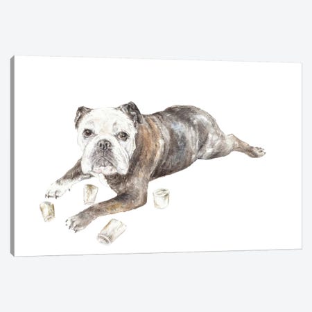 Abbey The Bulldog Canvas Print #RGF103} by Wandering Laur Canvas Artwork