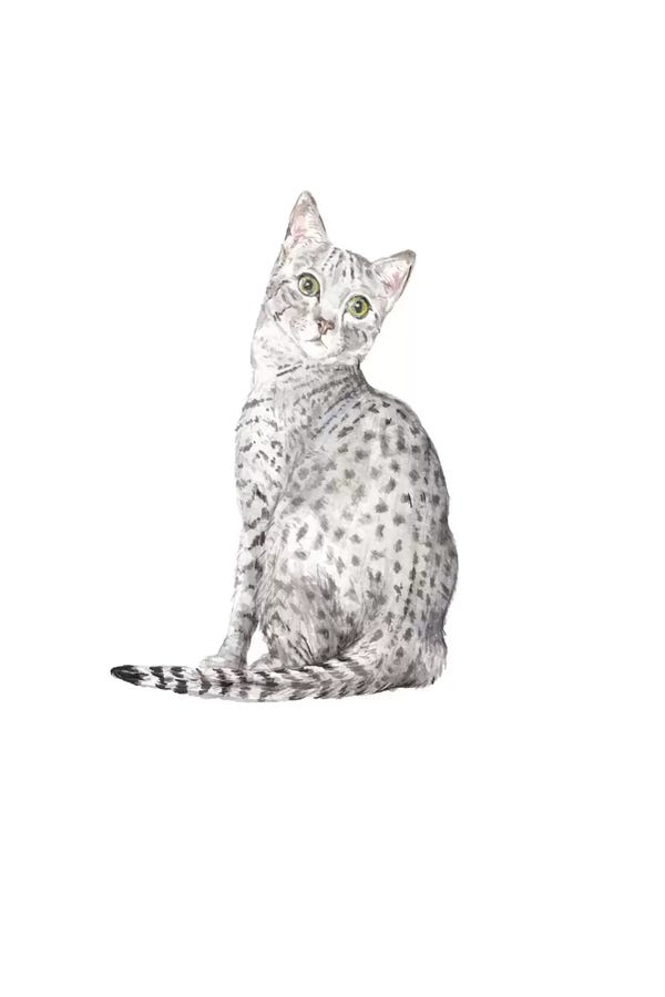Egyptian Maus