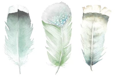 Green Feathers by Wandering Laur canvas print