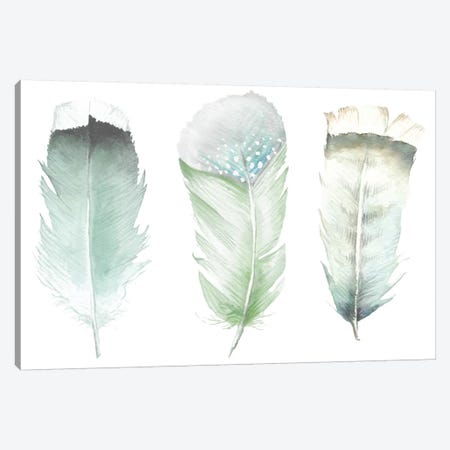 Green Feathers Canvas Print #RGF105} by Wandering Laur Art Print