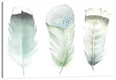 Green Feathers Canvas Art Print - Feather Art