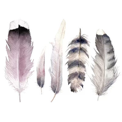 Purple Feathers by Wandering Laur framed wall art
