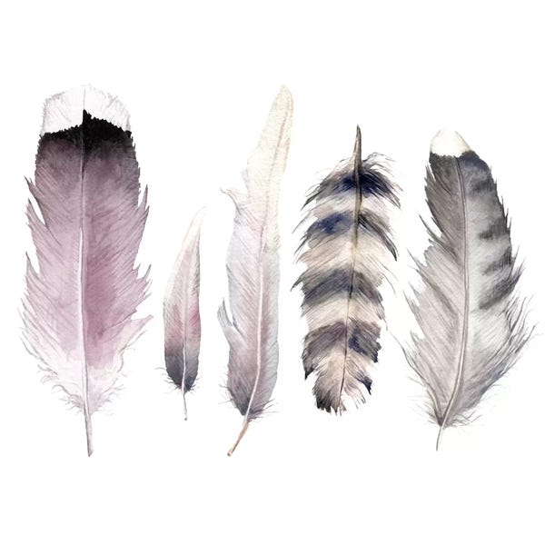Wandering Laur: Purple Feathers by Wandering Laur