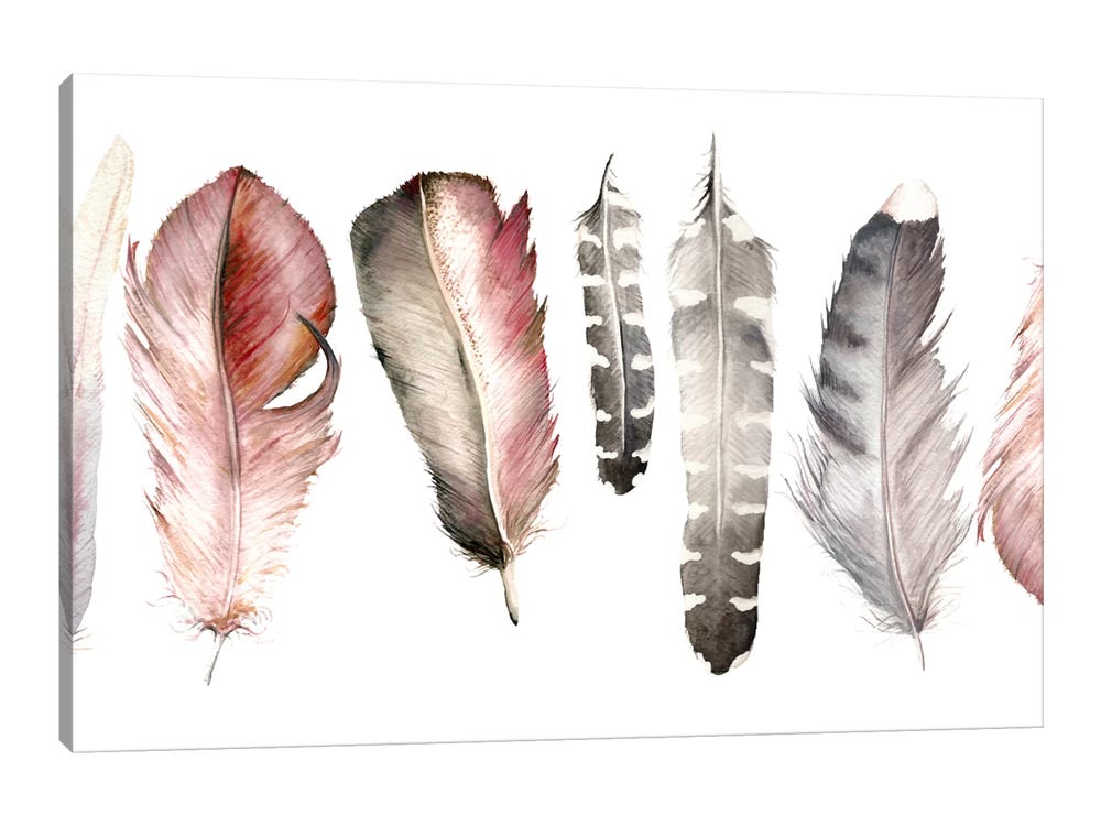 iCanvas Pink Feathers Art by Wandering Laur Canvas Art Wall Decor ( Decorative Elements > Feathers art) - 12x18 in