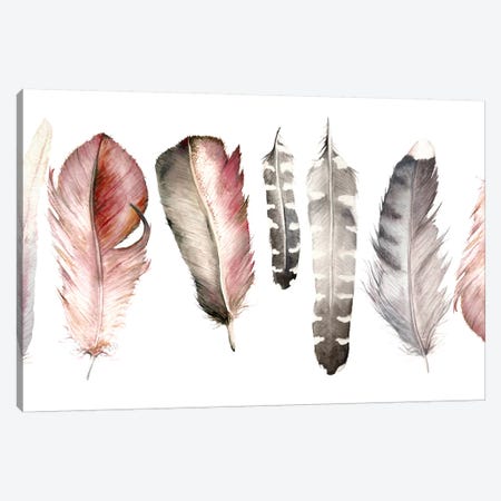 Pink Feathers Canvas Print #RGF107} by Wandering Laur Art Print