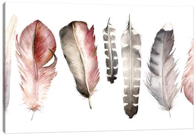 Pink Feathers Canvas Art Print - Gray & Pink Art