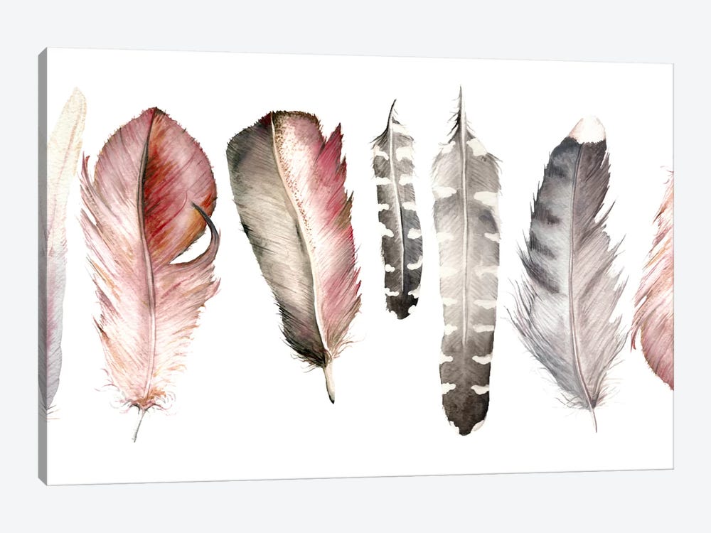 Pink Feathers by Wandering Laur 1-piece Canvas Wall Art