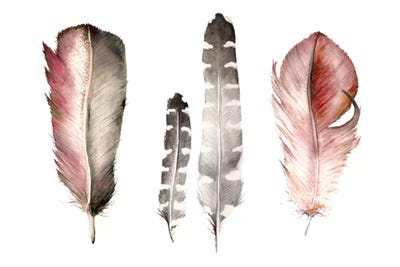 Feathers I by Wandering Laur framed wall art