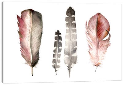 Feathers I Canvas Art Print - Wandering Laur