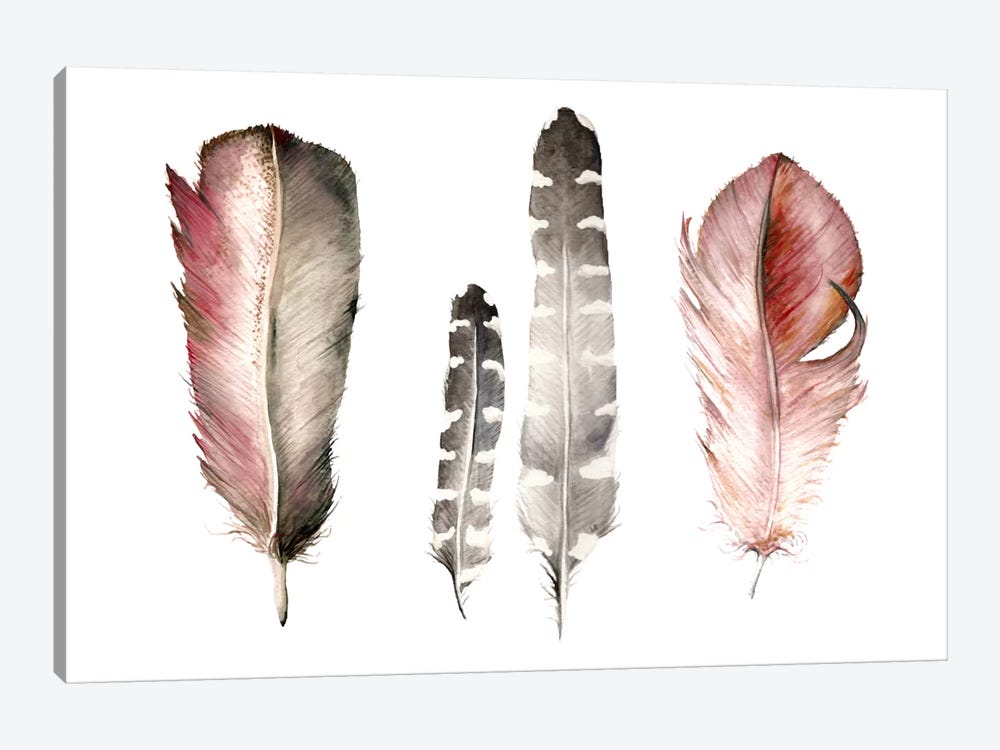 Feathers I by Wandering Laur 1-piece Art Print