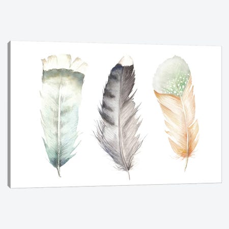 Feathers II Canvas Print #RGF109} by Wandering Laur Canvas Artwork