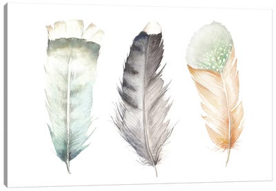 Feathers II Canvas Art Print - Wandering Laur