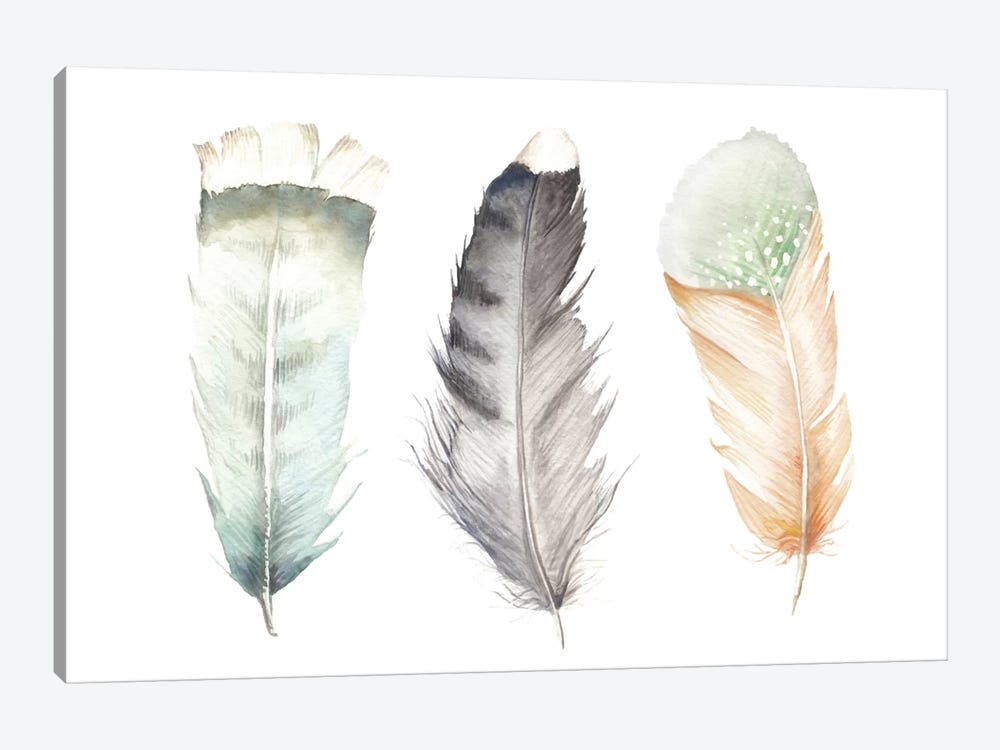 Feathers II by Wandering Laur 1-piece Canvas Art