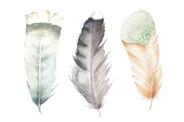 Wandering Laur: Feathers II by Wandering Laur