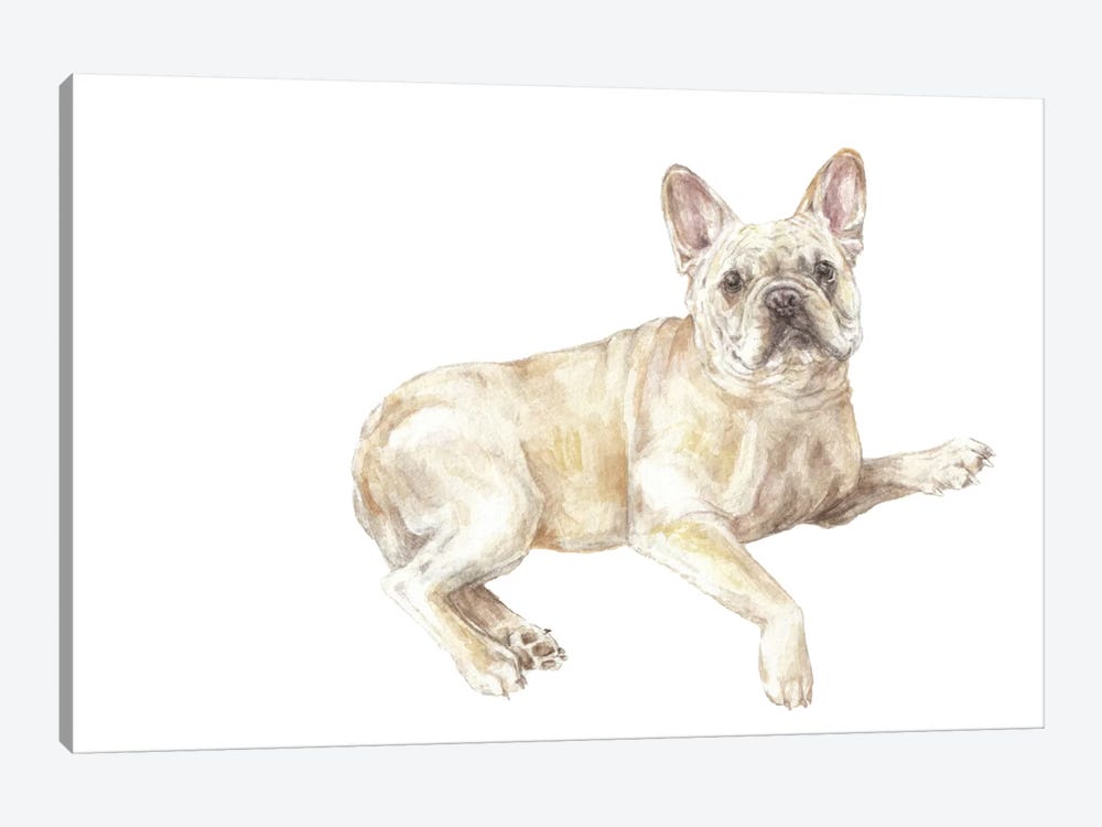 Frenchie Lying Down by Wandering Laur 1-piece Canvas Artwork