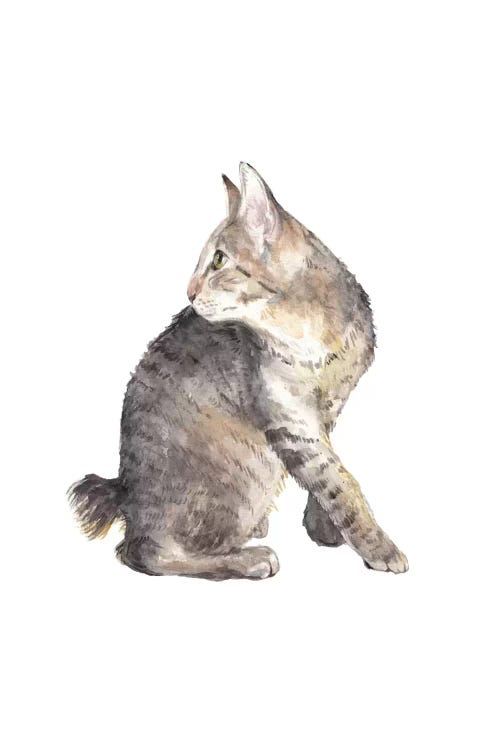 Manx Cat by Wandering Laur wall art