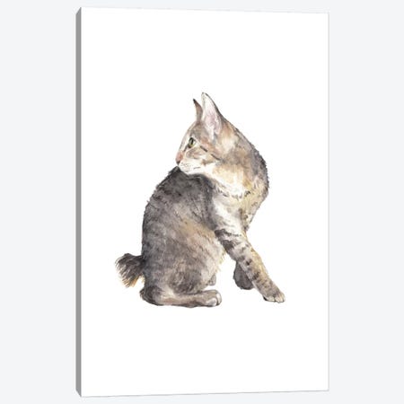 Manx Cat Canvas Print #RGF113} by Wandering Laur Art Print