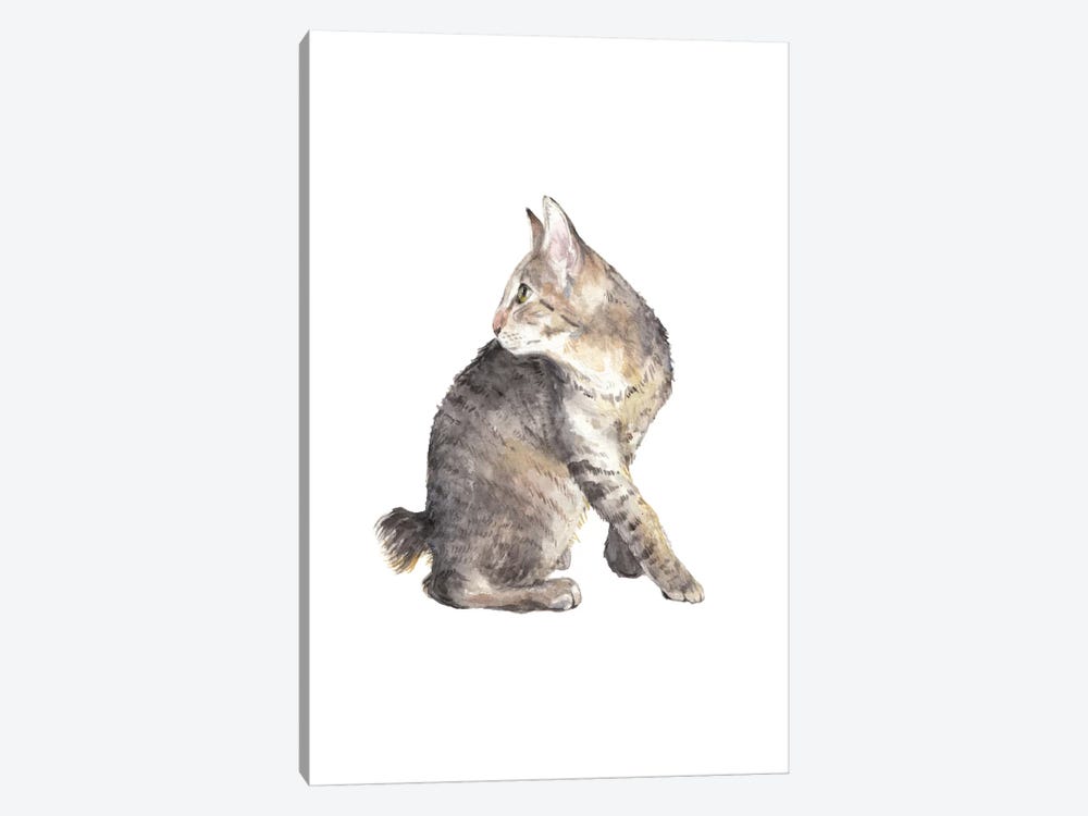 Manx Cat by Wandering Laur 1-piece Canvas Print