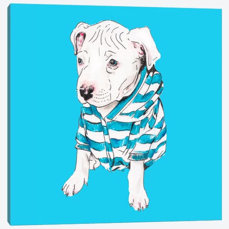 Pit Bull In T-Shirt Canvas Print #RGF114} by Wandering Laur Canvas Art
