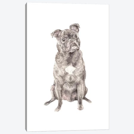 Moses The Pug Canvas Print #RGF115} by Wandering Laur Canvas Art