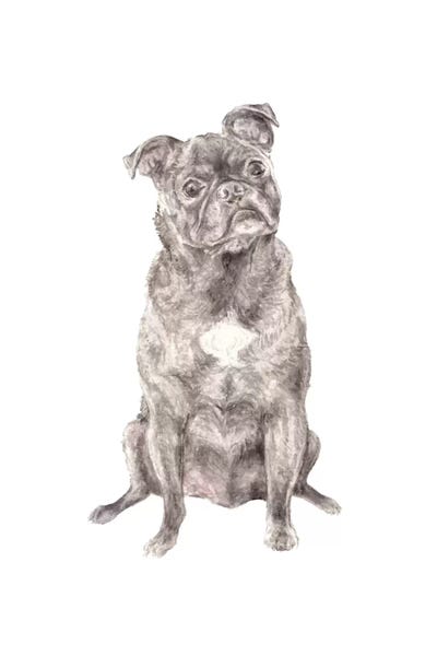 Pugs: Moses The Pug by Wandering Laur