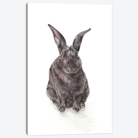 Black Rabbit Canvas Print #RGF116} by Wandering Laur Canvas Wall Art