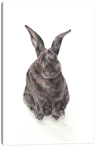 Black Rabbit Canvas Art Print - Wandering Laur