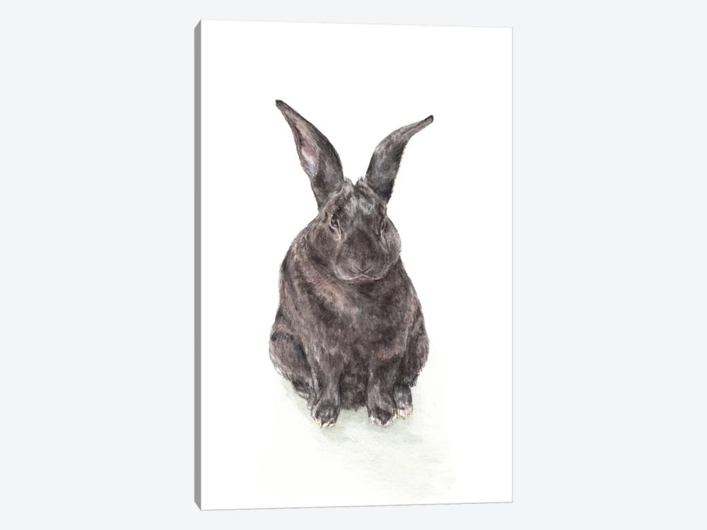 Black Rabbit by Wandering Laur 1-piece Canvas Art