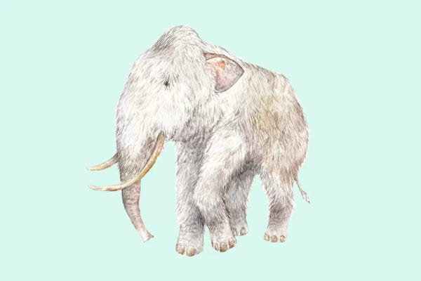 Wandering Laur: Woolly Mammoth On Blue by Wandering Laur