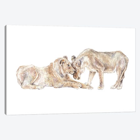 Lions Canvas Print #RGF124} by Wandering Laur Art Print