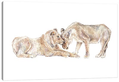 Lions Canvas Art Print - Wandering Laur