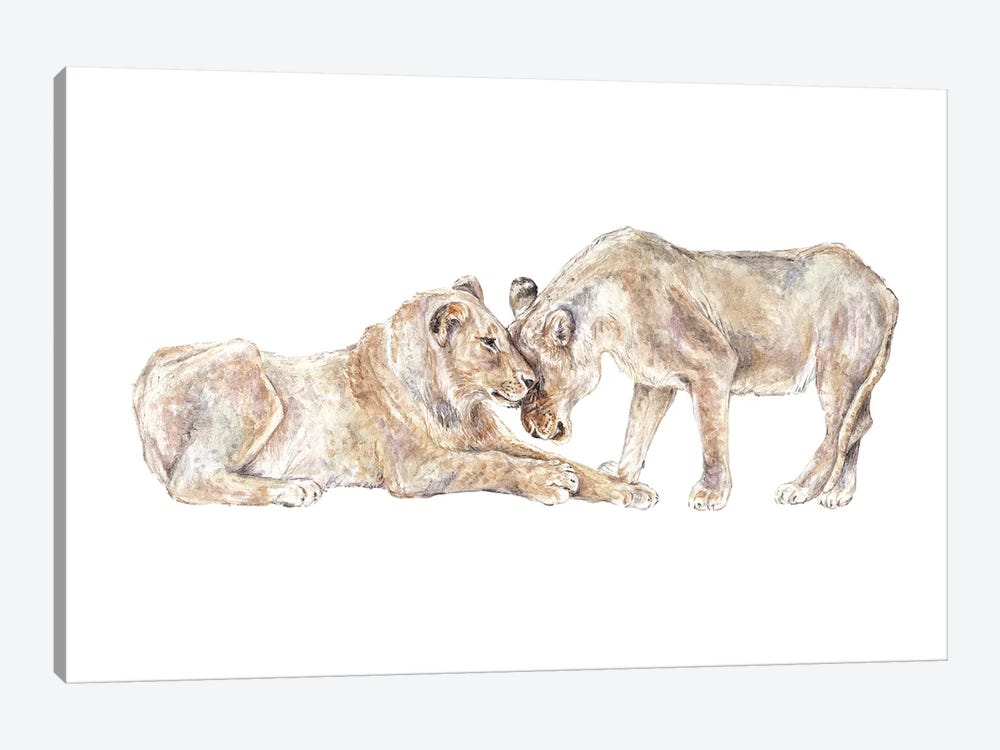 Lions by Wandering Laur 1-piece Canvas Art Print