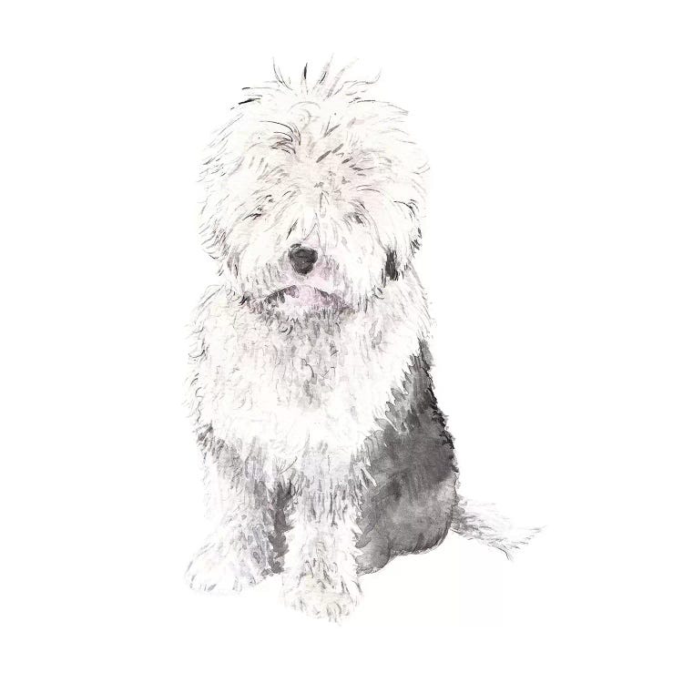 Old English Sheepdog by Wandering Laur wall art
