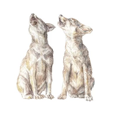 Wolf Howling by Wandering Laur framed wall art