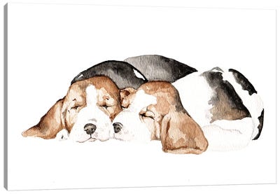 Beagles Canvas Art Print - Wandering Laur