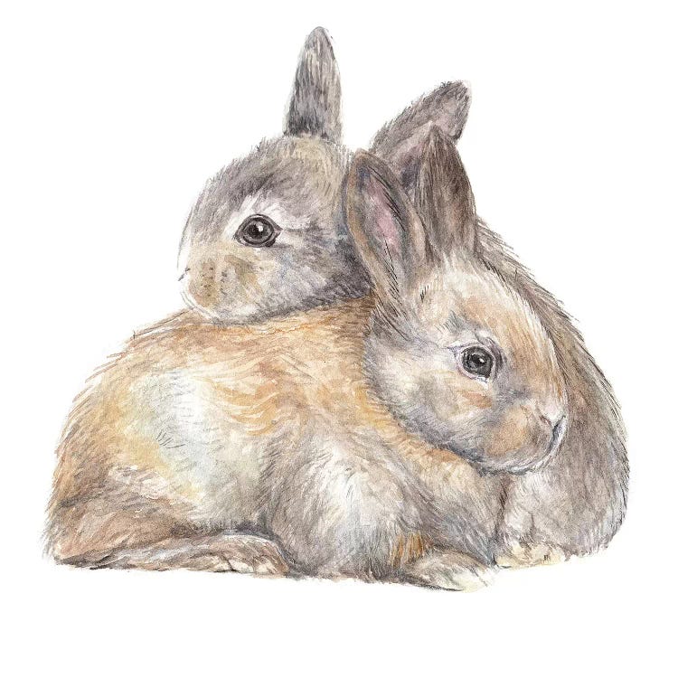 Bunny Snuggle by Wandering Laur wall art