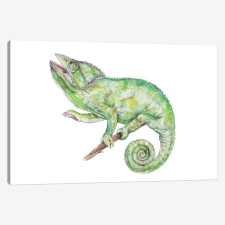 Chameleon Canvas Print #RGF132} by Wandering Laur Art Print