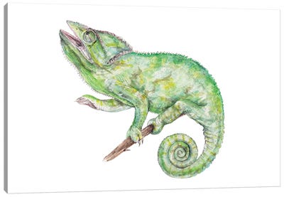 Chameleon Canvas Art Print - Wandering Laur