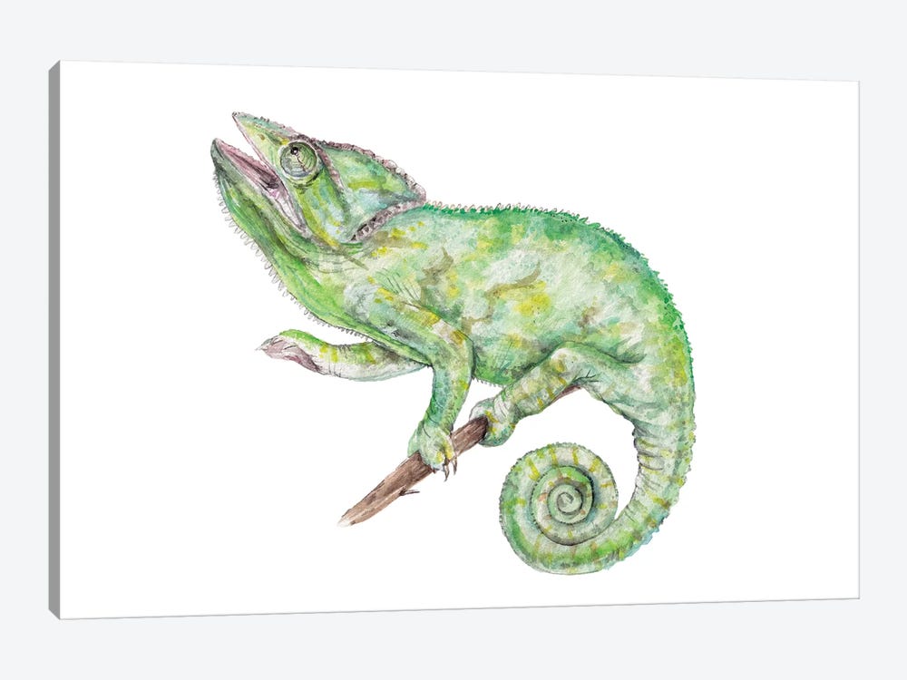 Chameleon by Wandering Laur 1-piece Canvas Artwork