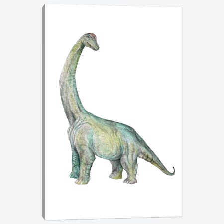 Dino Brachiosaurus Canvas Print #RGF134} by Wandering Laur Canvas Art