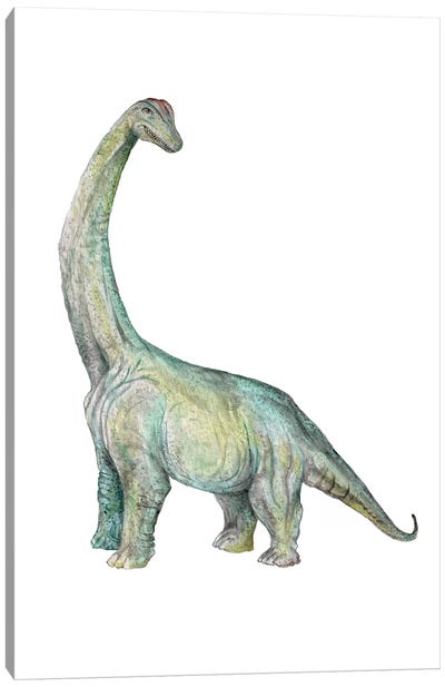 Dino Brachiosaurus Canvas Art Print - Dinosaur Art