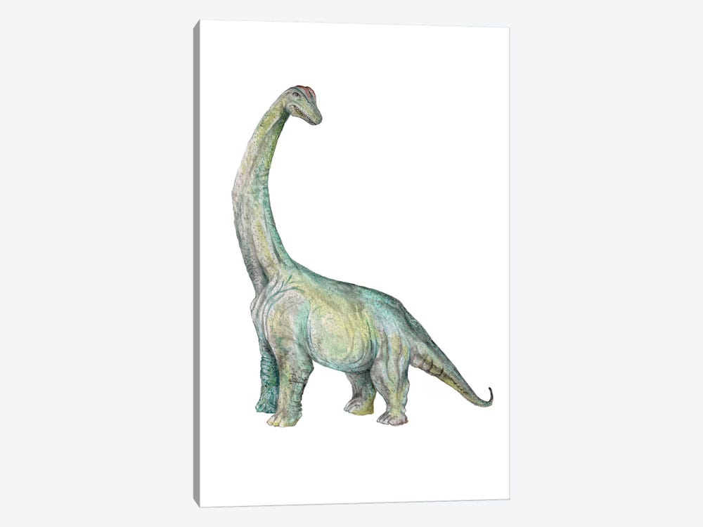 Dino Brachiosaurus by Wandering Laur 1-piece Canvas Wall Art