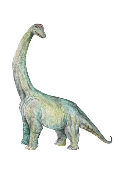Prehistoric Animals: Dino Brachiosaurus by Wandering Laur