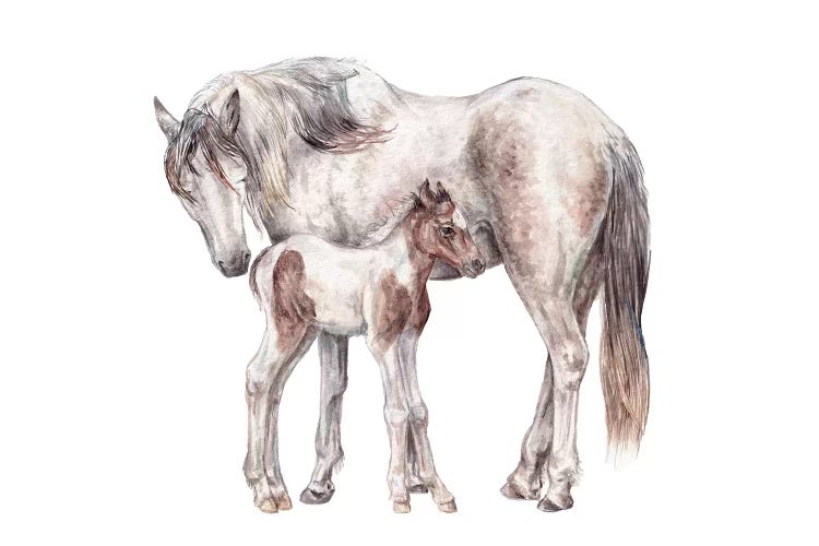 Horse And Foal