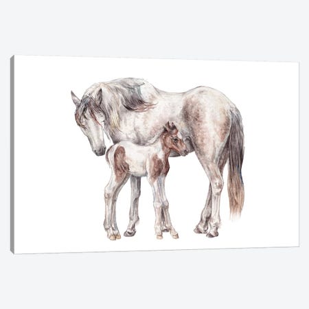 Horse And Foal Canvas Print #RGF135} by Wandering Laur Canvas Wall Art