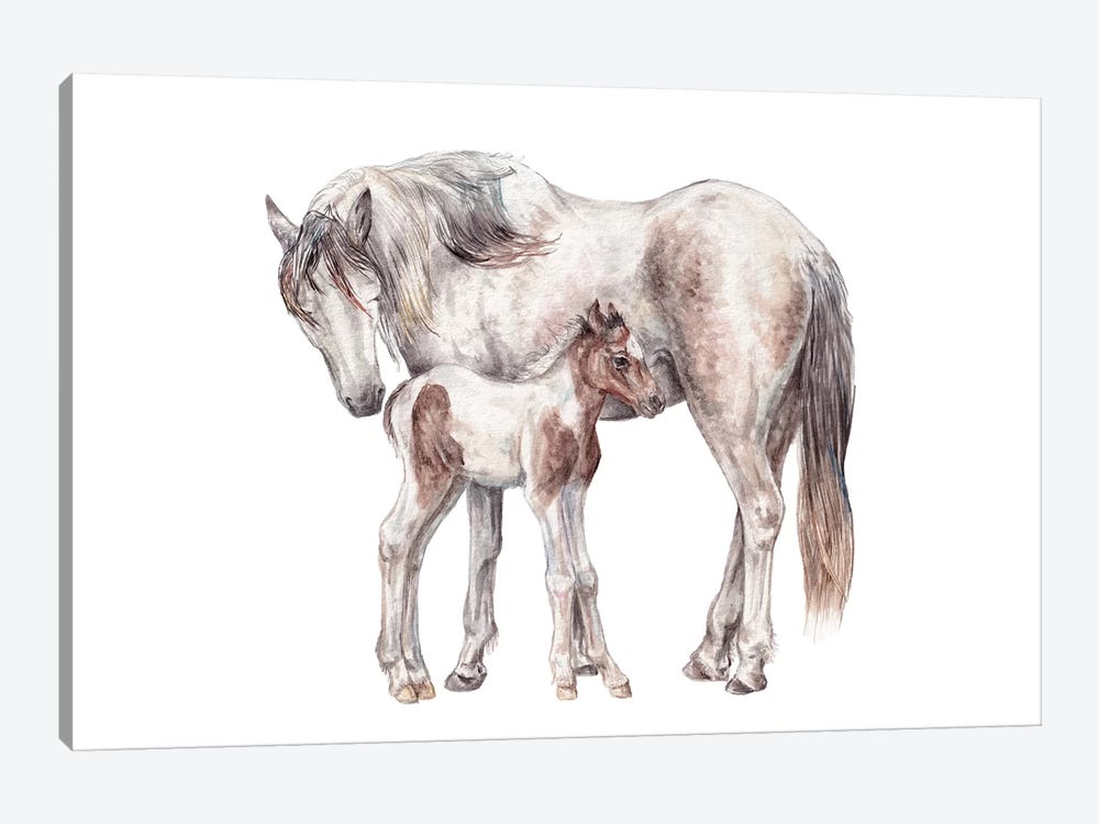 Horse And Foal by Wandering Laur 1-piece Art Print